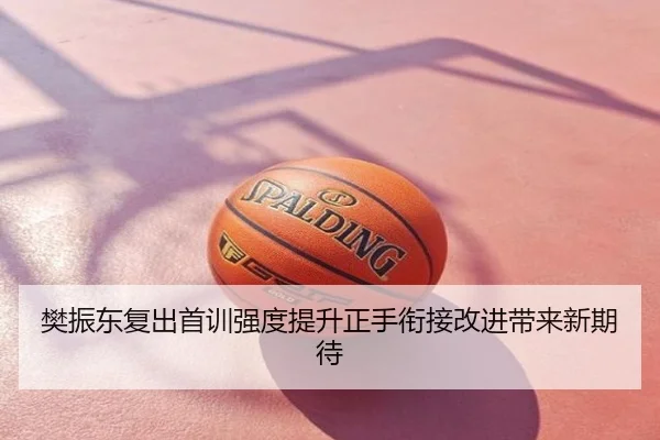樊振东复出首训强度提升正手衔接改进带来新期待