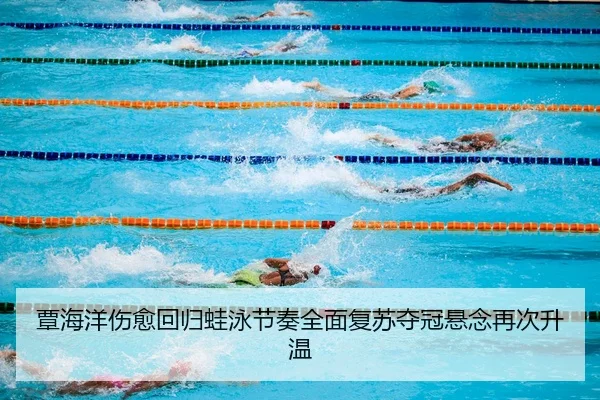 覃海洋伤愈回归蛙泳节奏全面复苏夺冠悬念再次升温